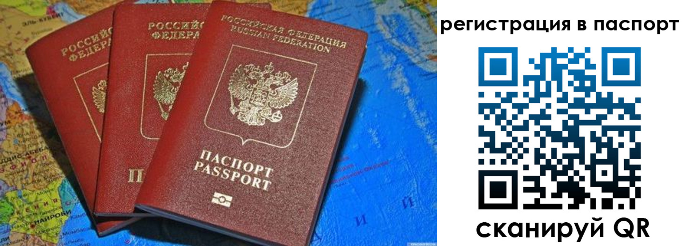 прописка иностранных граждан в Бийске